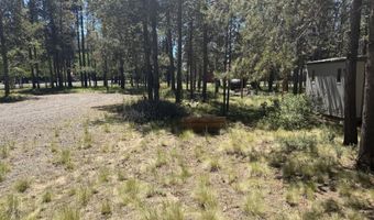 55869 Black Duck Rd, Bend, OR 97707