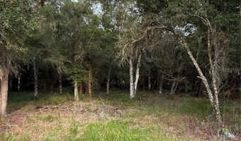 SE BROWN ROAD, Arcadia, FL 34266