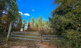 0 Bruner Pond Rd, Ashford, AL 36320