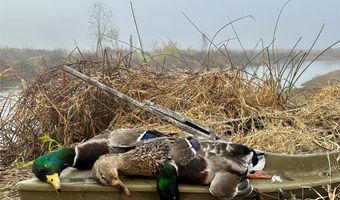 Highway 37, Alma, WI 54610