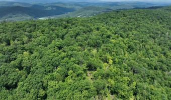 Denio Road, Barnet, VT 05821
