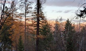 510 Swan Hill Rd, Bigfork, MT 59911