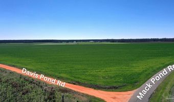 Lot 16 Davis Pond Rd, Atmore, AL 36502