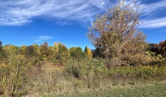 5577 Cannon Meadows Dr, Ada, MI 49301