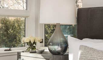 704 E Hyman Ave, Aspen, CO 81611