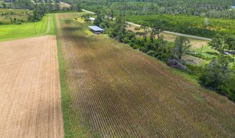 596 Teakwood Rd, Alma, GA 31510