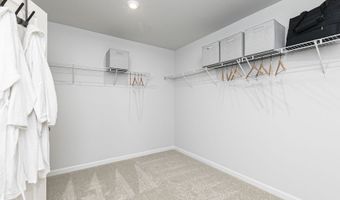 314 Williams Grove Way, Apex, NC 27523