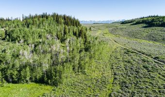 CARROLL Lane, Daniel, WY 83115