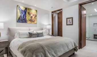 130 Primrose Path, Aspen, CO 81611