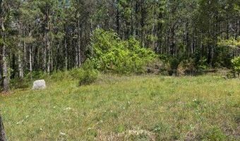 2 SOCIETY HILL Rd, Auburn, AL 36830