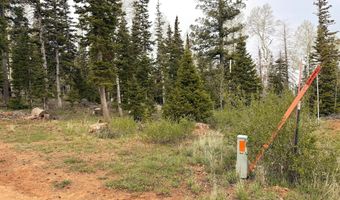 646 W Ski View Dr, Brian Head, UT 84719