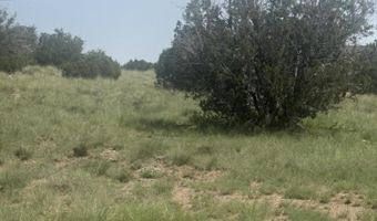 145 Zuni Dr, Concho, AZ 85924