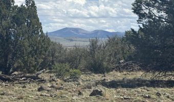 29 B County Road N 8339, Concho, AZ 85924