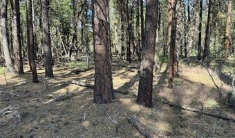 Thunder Bear Road, Bonanza, OR 97623