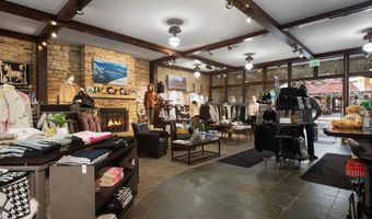 408 E Cooper Ave, Aspen, CO 81611