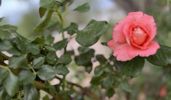 21 Agua Fria Rd, Belen, NM 87002