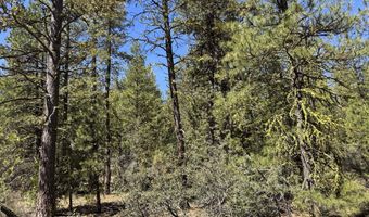 Horned Owl Way 385461, Bonanza, OR 97623