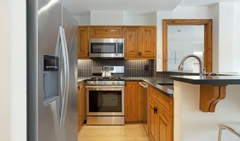 61 Avondale Ln 102, Beaver Creek, CO 81620