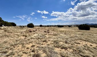 17 COUNTY ROAD N8034 185, Concho, AZ 85924