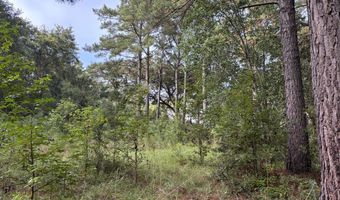 0 Providence Cir, Awendaw, SC 29429