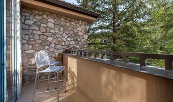 26 Avondale 211, Beaver Creek, CO 81620