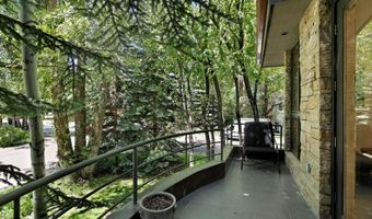 736 W Smuggler St B, Aspen, CO 81611