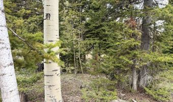 646 W Ski View Dr, Brian Head, UT 84719
