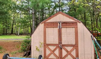 1148 Horseshoe Dr, Alger, MI 48610