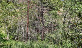 449 Highway 7 Business, Allenspark, CO 80510