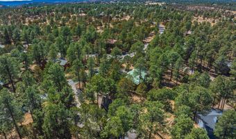 1377 HIGH MESA Dr, Alto, NM 88312