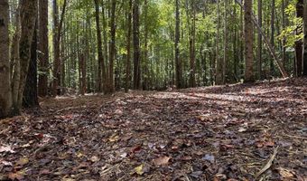 0 Coleman Mountain Rd, Appomattox, VA 24522