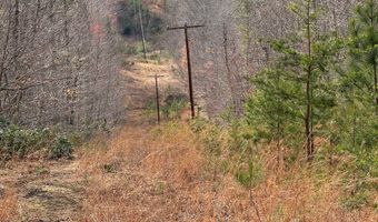 Lime Plant Road lot 6, Appomattox, VA 24522