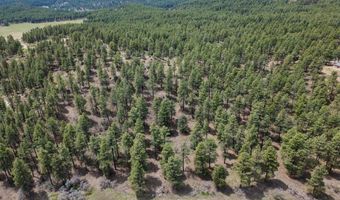 135 Meadow Ln, Bayfield, CO 81122