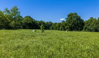 TBD Shady DR, Alma, AR 72921