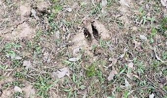 Hickory Street, Beggs, OK 74421