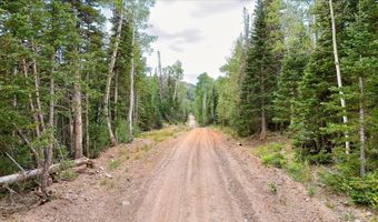 384 N 275 E, Brian Head, UT 84719
