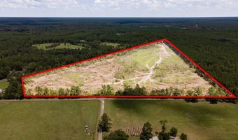 R53358 Tract 2 Hwy 94, Apple Springs, TX 75926