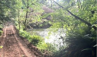 NW LODGE Rd, Banks, OR 97106