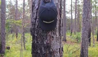 Hwy 9, Bruce, MS 38915