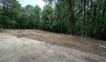 1089 Damascus, Ball Ground, GA 30107