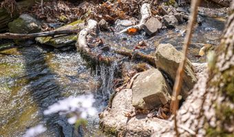 163 Acres Duck Springs Rd, Attalla, AL 35954
