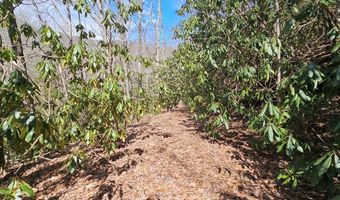 Warrior Way lot 16, Andrews, NC 28901