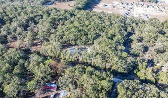 1809 Rosemary Cir, Bell, FL 32619