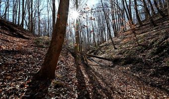 RICHARD ALLEN Street, Aquasco, MD 20608