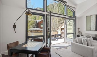 121 W Hyman Ave B, Aspen, CO 81611