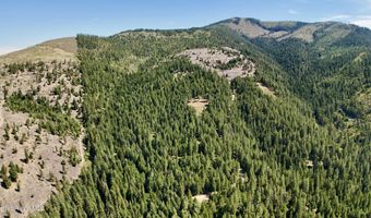 1710 Tower Mountain Rd, Blanchard, ID 83804