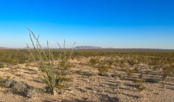 25-3 S Hwy 118, Alpine, TX 79830