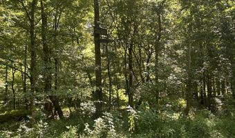 001 Farr Rd, Bolton, MS 39041