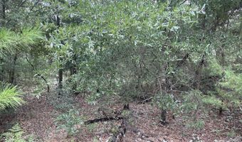Girard Court lot 37, Alford, FL 32420
