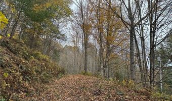 Tbd Rominger Road, Banner Elk, NC 28604